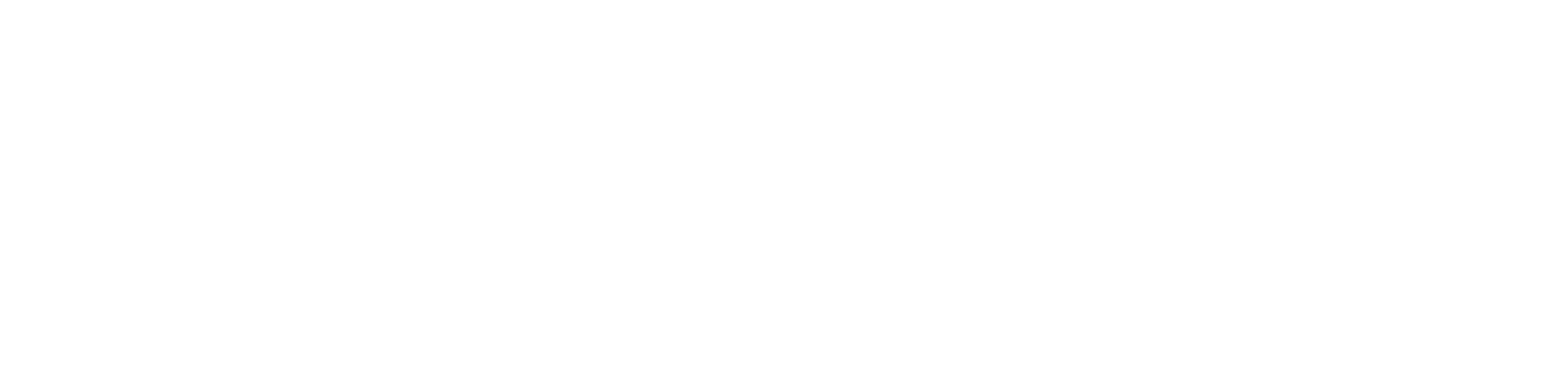 Liberale Hochschulgruppe Aachen